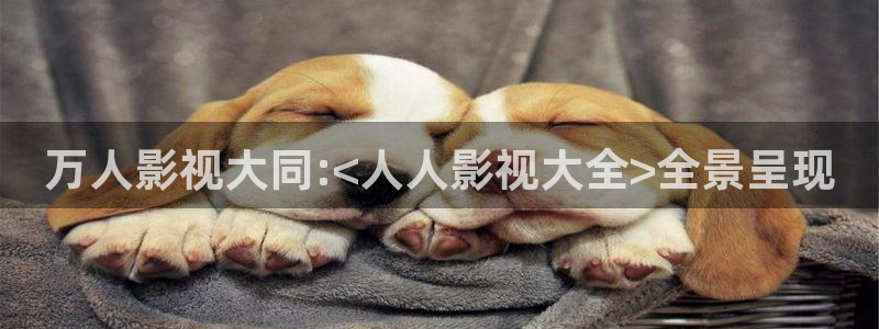 金牌秘书电影：万人影视大同:<人人影视大全>全景呈现