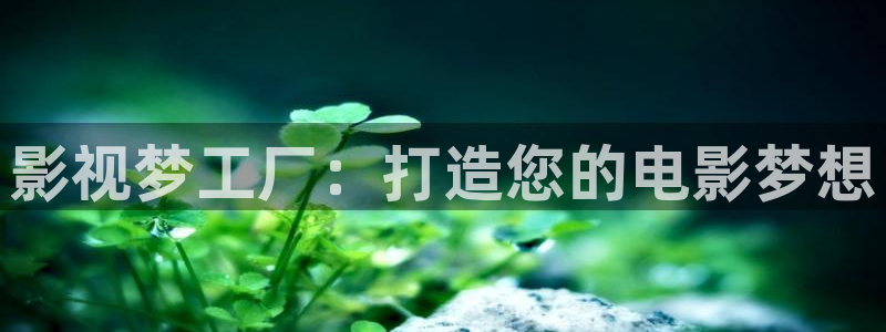 金牌影：影视梦工厂：打造您的电影梦想