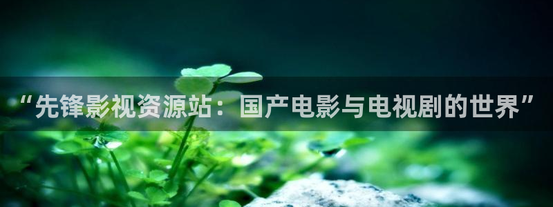金牌影院看电视剧免费：“先锋影视资源站：国产电影与电视剧的世界”