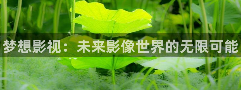 金牌影院官网首页入口：梦想影视：未来影像世界的无限可能