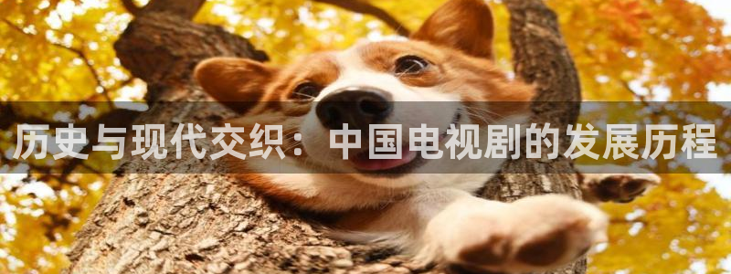 金牌影院免费观看全集完整版高清：历史与现代交织：中国电视剧的发展历程