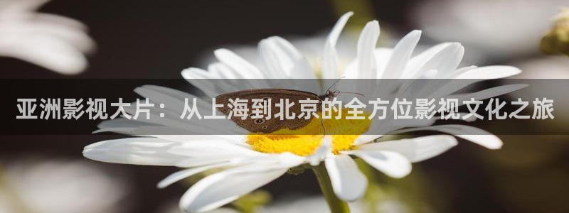 金牌电影免费观看：亚洲影视大片：从上海到北京的全方位影视文化之旅