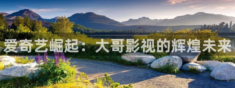 金牌电影网站