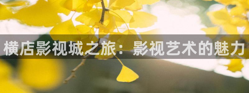 金牌影院2024年最新消息