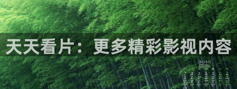 金牌影院最新电视剧免费：天天看片：更多精彩影视内容